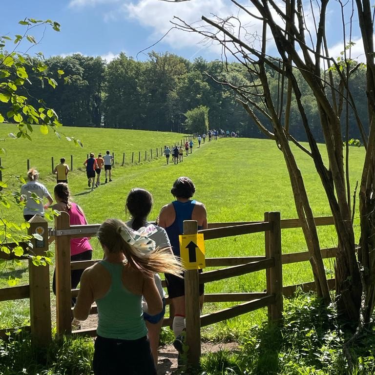 The Nettlebed Stinger