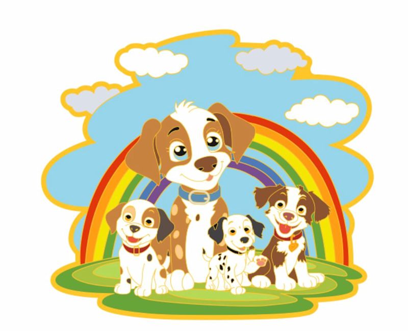 The Dashing Dog Charity Run - Wales