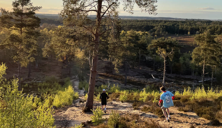 Hankley Common 10k - March 