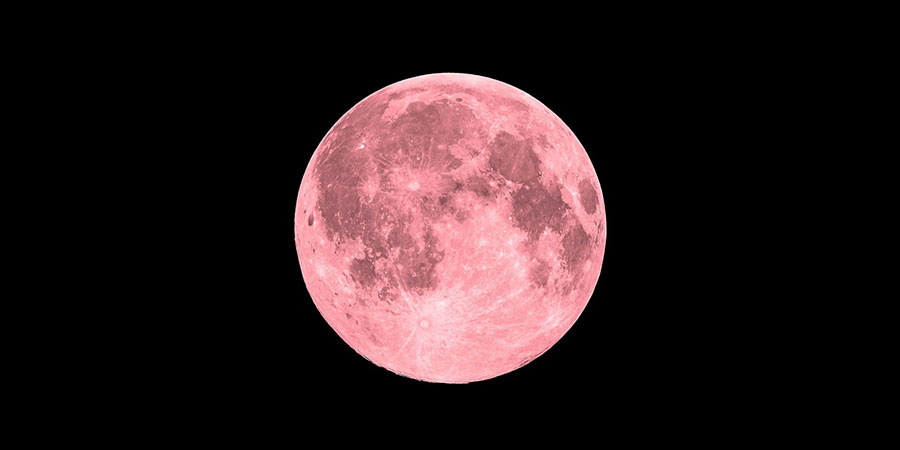 Pink Moon Trail Half Marathon