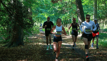 ALICE HOLT WILD TRAIL RUNS 2026 - 10KM & 1/2 MARATHON